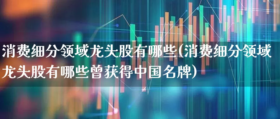 消费细分领域龙头股有哪些(消费细分领域龙头股有哪些曾获得中国名牌)_https://www.heiljjianzu.com_深交所_第1张