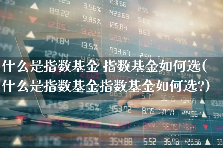 什么是指数基金 指数基金如何选(什么是指数基金指数基金如何选?)_https://www.heiljjianzu.com_北交所_第1张