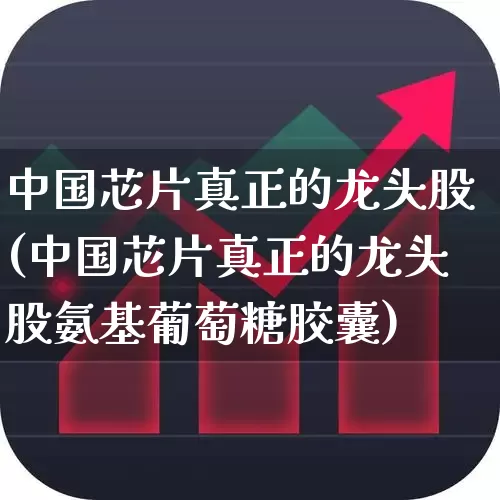 中国芯片真正的龙头股(中国芯片真正的龙头股氨基葡萄糖胶囊)_https://www.heiljjianzu.com_深交所_第1张