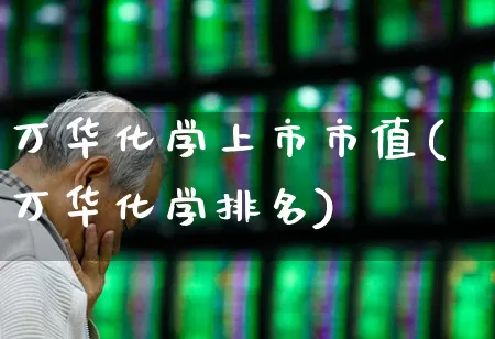 万华化学上市市值(万华化学排名)_https://www.heiljjianzu.com_北交所_第1张