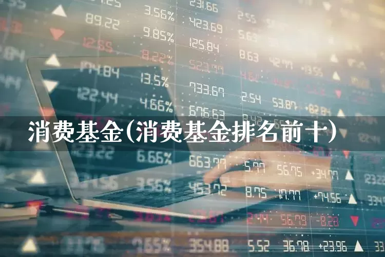消费基金(消费基金排名前十)_https://www.heiljjianzu.com_北交所_第1张