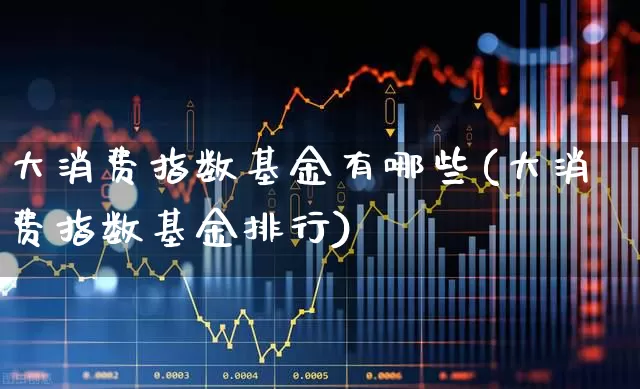 大消费指数基金有哪些(大消费指数基金排行)_https://www.heiljjianzu.com_深交所_第1张