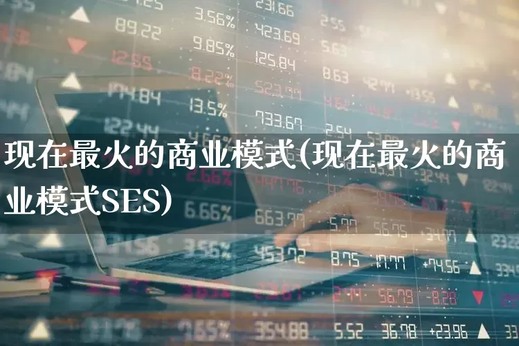 现在最火的商业模式(现在最火的商业模式SES)_https://www.heiljjianzu.com_深交所_第1张