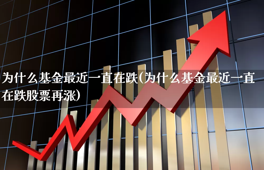 为什么基金最近一直在跌(为什么基金最近一直在跌股票再涨)_https://www.heiljjianzu.com_上交所_第1张