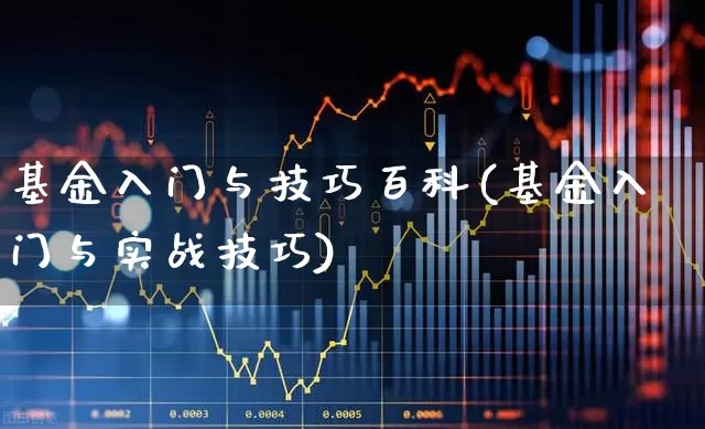 基金入门与技巧百科(基金入门与实战技巧)_https://www.heiljjianzu.com_深交所_第1张