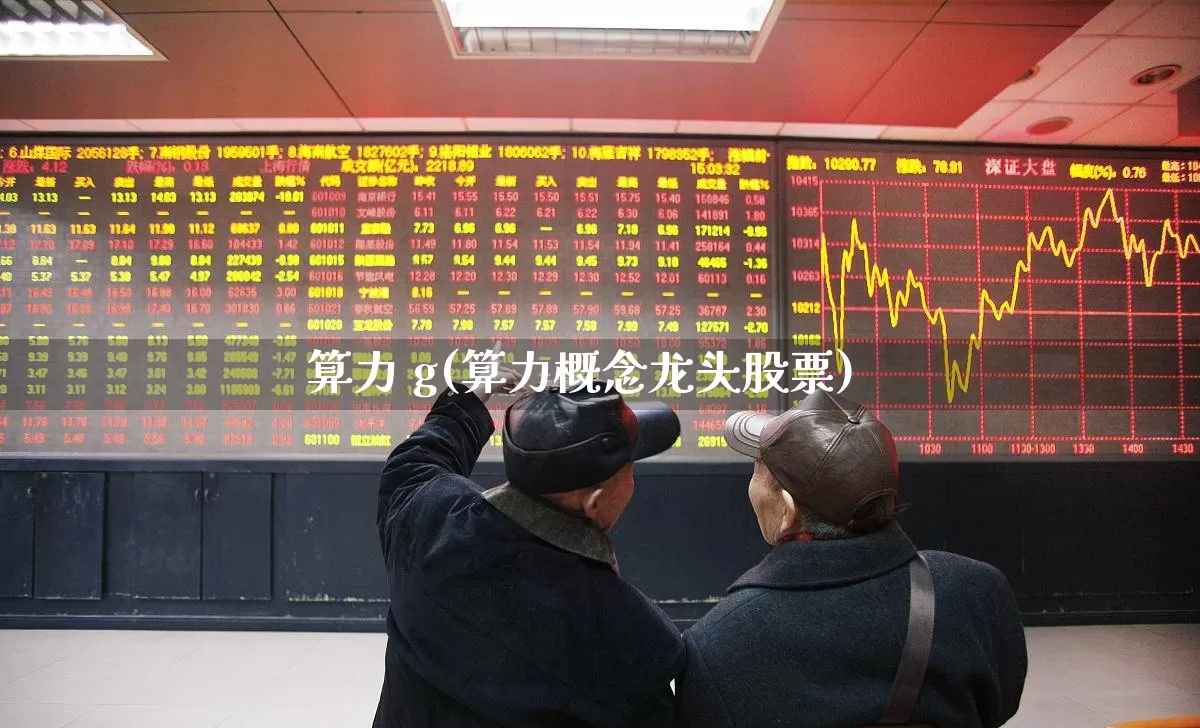 算力 g(算力概念龙头股票)_https://www.heiljjianzu.com_北交所_第1张