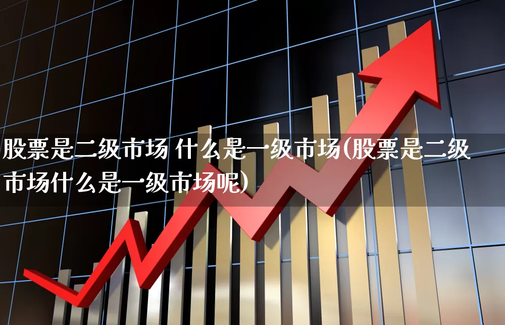 股票是二级市场 什么是一级市场(股票是二级市场什么是一级市场呢)_https://www.heiljjianzu.com_创业板_第1张
