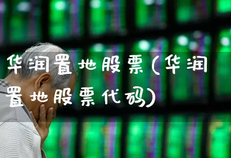 华润置地股票(华润置地股票代码)_https://www.heiljjianzu.com_科创板_第1张