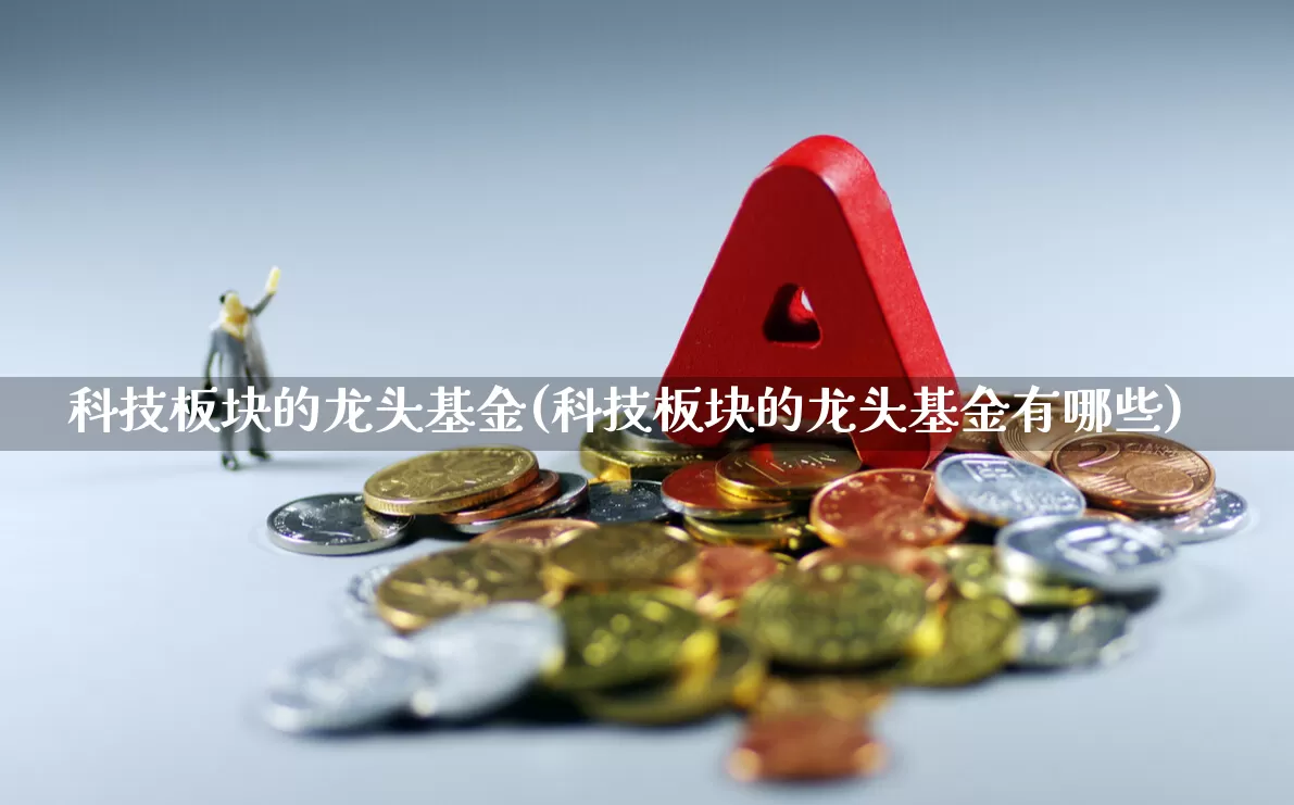 科技板块的龙头基金(科技板块的龙头基金有哪些)_https://www.heiljjianzu.com_北交所_第1张