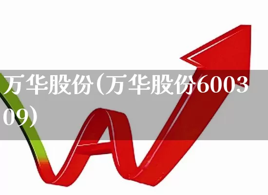 万华股份(万华股份600309)_https://www.heiljjianzu.com_深交所_第1张