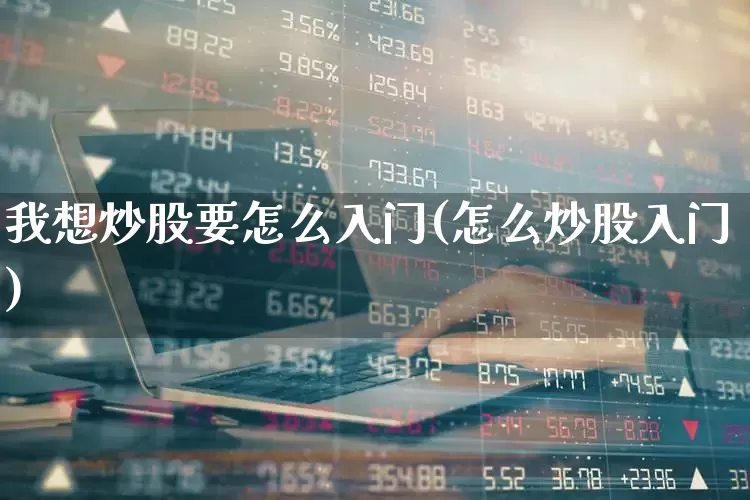 我想炒股要怎么入门(怎么炒股入门)_https://www.heiljjianzu.com_深交所_第1张