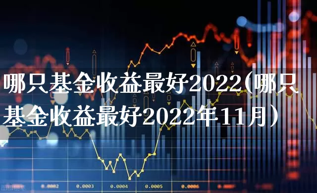 哪只基金收益最好2022(哪只基金收益最好2022年11月)_https://www.heiljjianzu.com_深交所_第1张