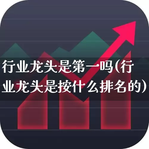 行业龙头是第一吗(行业龙头是按什么排名的)_https://www.heiljjianzu.com_上交所_第1张