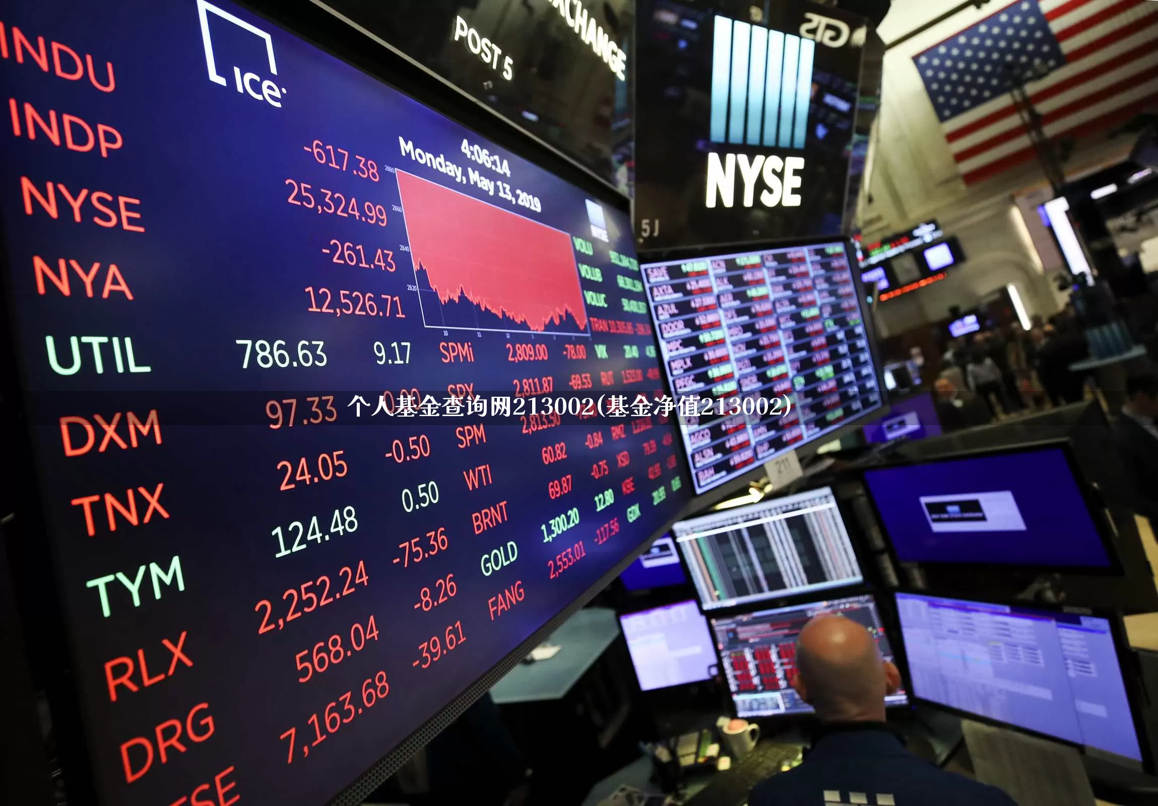 个人基金查询网213002(基金净值213002)_https://www.heiljjianzu.com_上交所_第1张