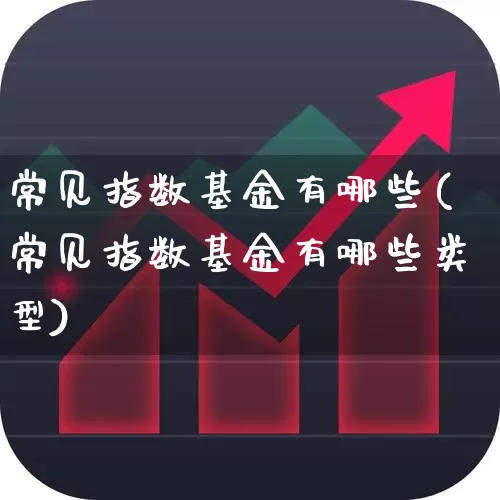 常见指数基金有哪些(常见指数基金有哪些类型)_https://www.heiljjianzu.com_深交所_第1张