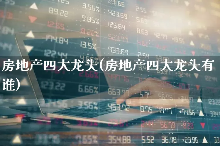 房地产四大龙头(房地产四大龙头有谁)_https://www.heiljjianzu.com_科创板_第1张