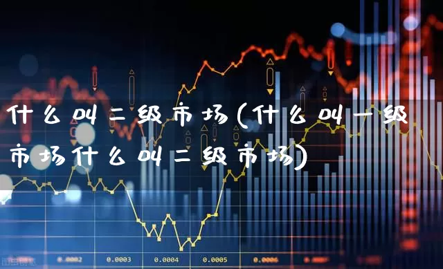 什么叫二级市场(什么叫一级市场什么叫二级市场)_https://www.heiljjianzu.com_上交所_第1张