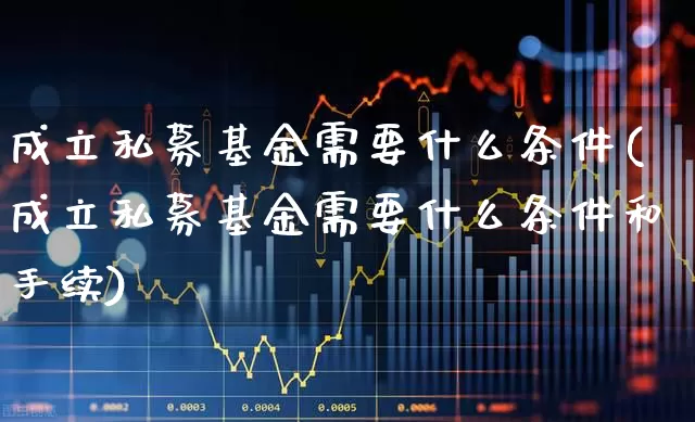 成立私募基金需要什么条件(成立私募基金需要什么条件和手续)_https://www.heiljjianzu.com_北交所_第1张