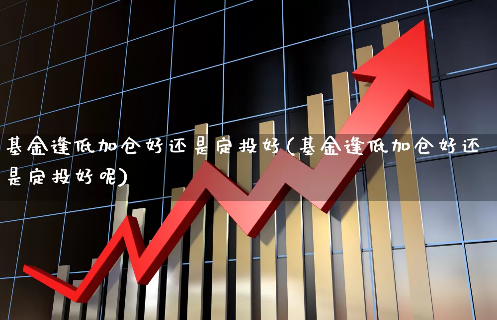 基金逢低加仓好还是定投好(基金逢低加仓好还是定投好呢)_https://www.heiljjianzu.com_深交所_第1张