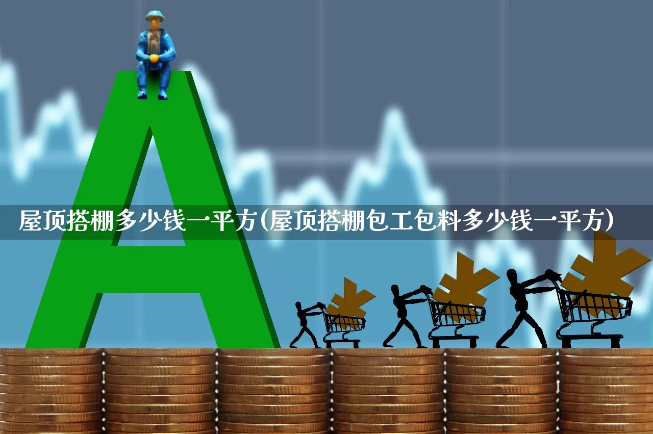 屋顶搭棚多少钱一平方(屋顶搭棚包工包料多少钱一平方)_https://www.heiljjianzu.com_科创板_第1张
