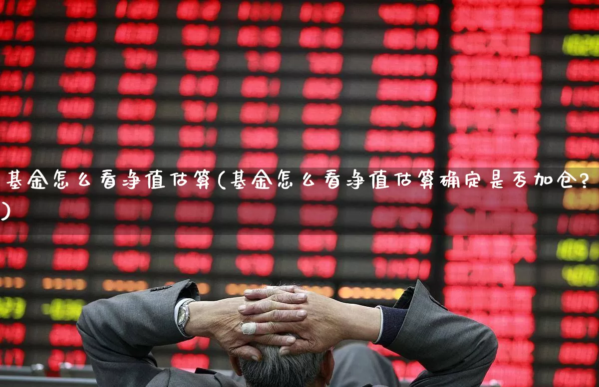 基金怎么看净值估算(基金怎么看净值估算确定是否加仓?)_https://www.heiljjianzu.com_深交所_第1张