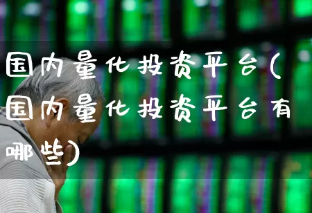 国内量化投资平台(国内量化投资平台有哪些)_https://www.heiljjianzu.com_创业板_第1张