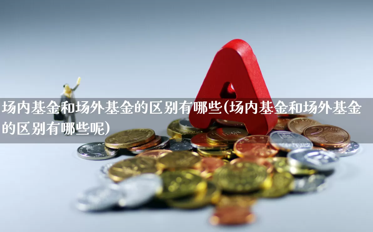 场内基金和场外基金的区别有哪些(场内基金和场外基金的区别有哪些呢)_https://www.heiljjianzu.com_上交所_第1张