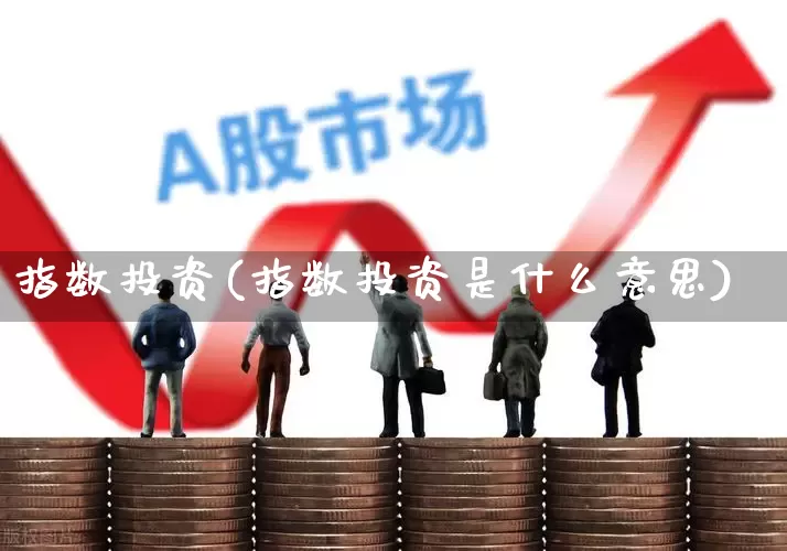 指数投资(指数投资是什么意思)_https://www.heiljjianzu.com_科创板_第1张