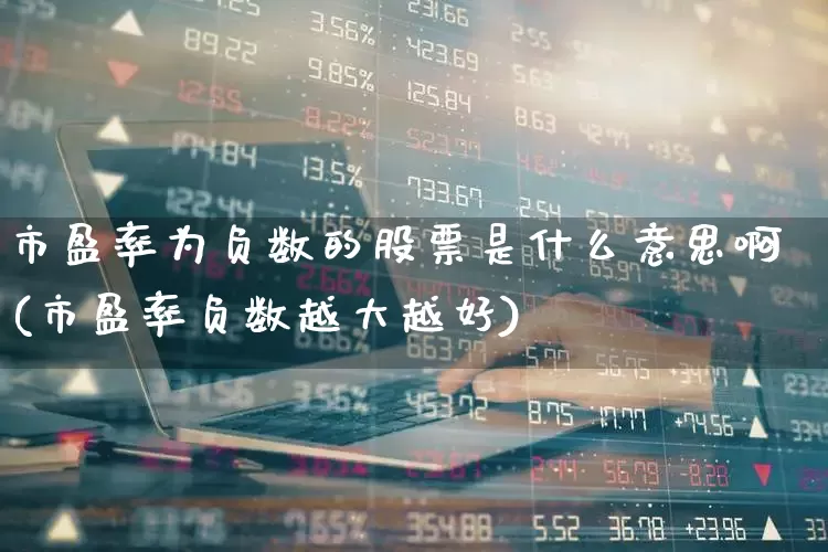 市盈率为负数的股票是什么意思啊(市盈率负数越大越好)_https://www.heiljjianzu.com_上交所_第1张