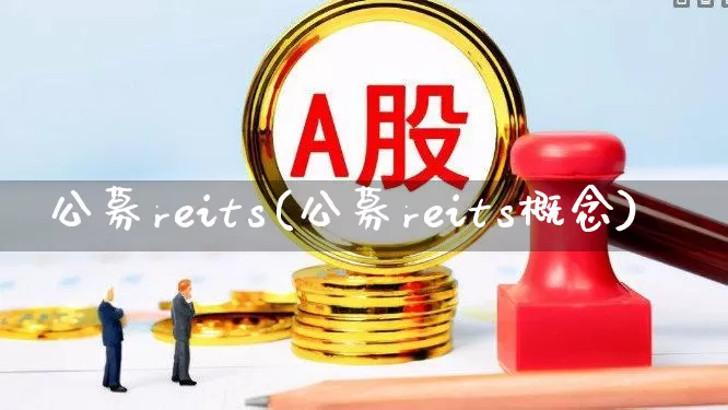 公募reits(公募reits概念)_https://www.heiljjianzu.com_创业板_第1张