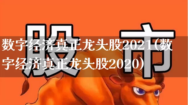 数字经济真正龙头股2021(数字经济真正龙头股2020)_https://www.heiljjianzu.com_科创板_第1张