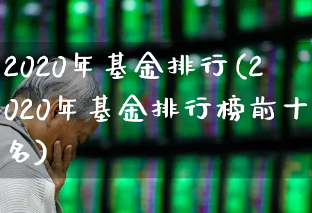 2020年基金排行(2020年基金排行榜前十名)_https://www.heiljjianzu.com_上交所_第1张