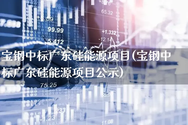 宝钢中标广东硅能源项目(宝钢中标广东硅能源项目公示)_https://www.heiljjianzu.com_科创板_第1张