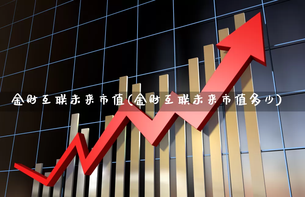 金财互联未来市值(金财互联未来市值多少)_https://www.heiljjianzu.com_科创板_第1张