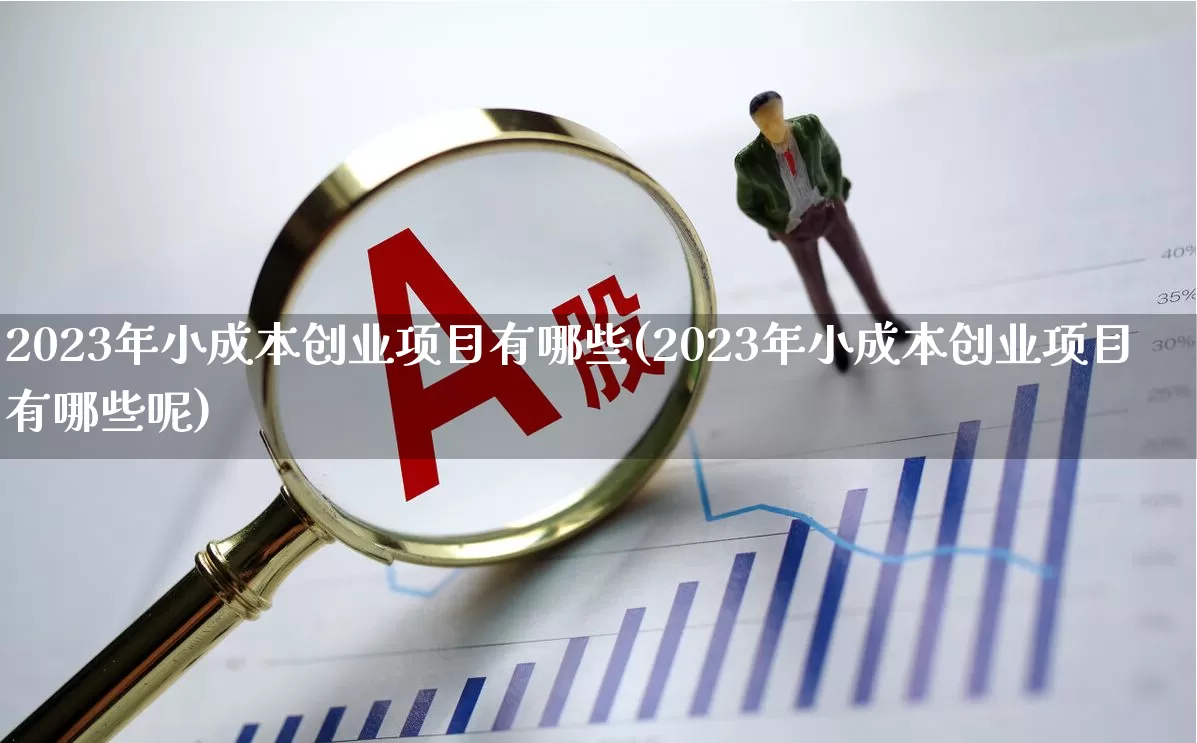 2023年小成本创业项目有哪些(2023年小成本创业项目有哪些呢)_https://www.heiljjianzu.com_深交所_第1张