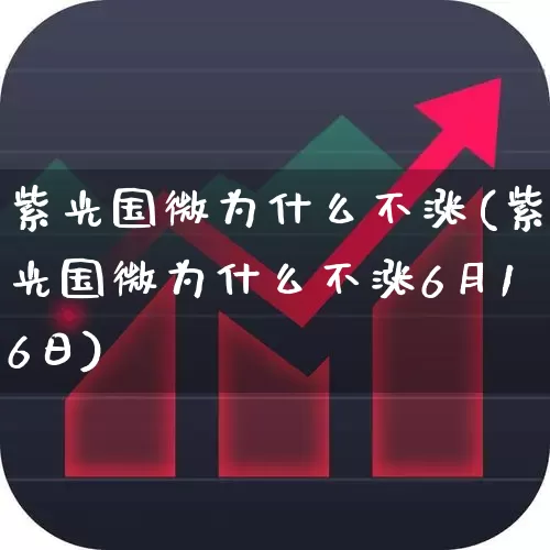 紫光国微为什么不涨(紫光国微为什么不涨6月16日)_https://www.heiljjianzu.com_上交所_第1张