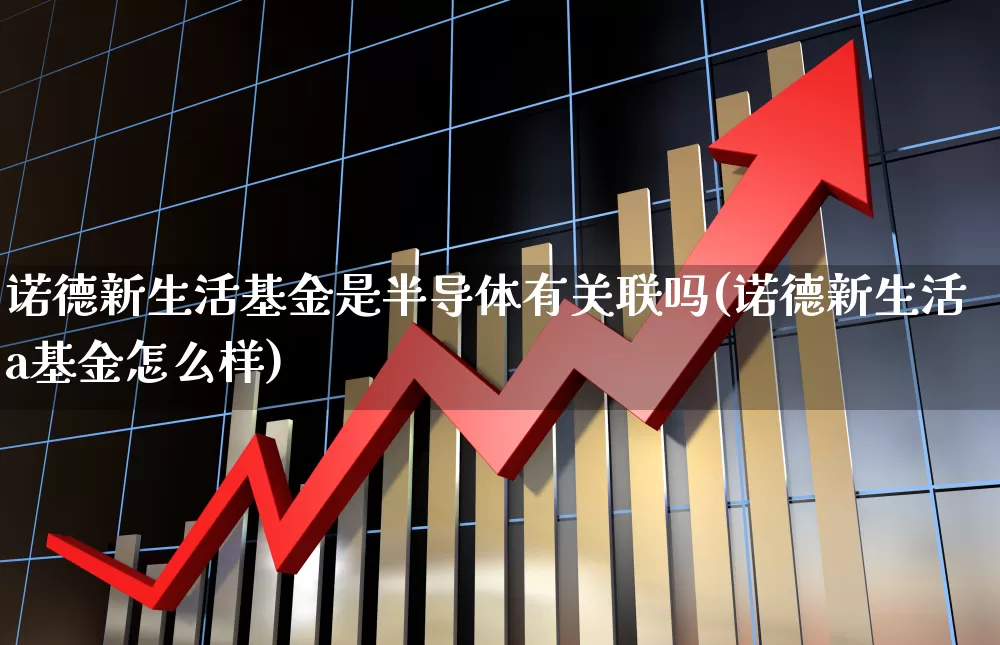 诺德新生活基金是半导体有关联吗(诺德新生活a基金怎么样)_https://www.heiljjianzu.com_北交所_第1张