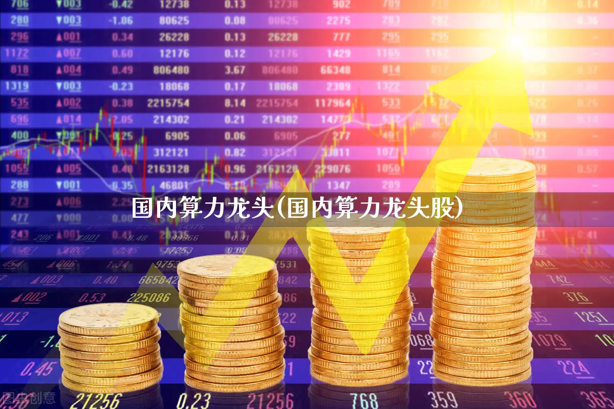 国内算力龙头(国内算力龙头股)_https://www.heiljjianzu.com_上交所_第1张