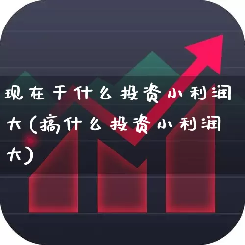现在干什么投资小利润大(搞什么投资小利润大)_https://www.heiljjianzu.com_深交所_第1张