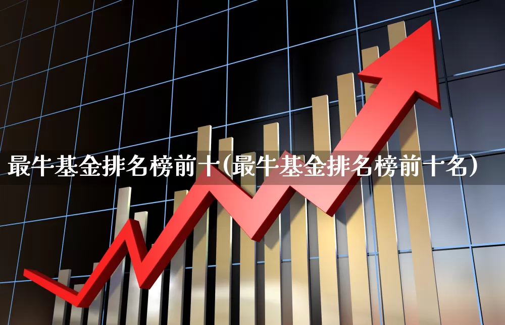 最牛基金排名榜前十(最牛基金排名榜前十名)_https://www.heiljjianzu.com_北交所_第1张