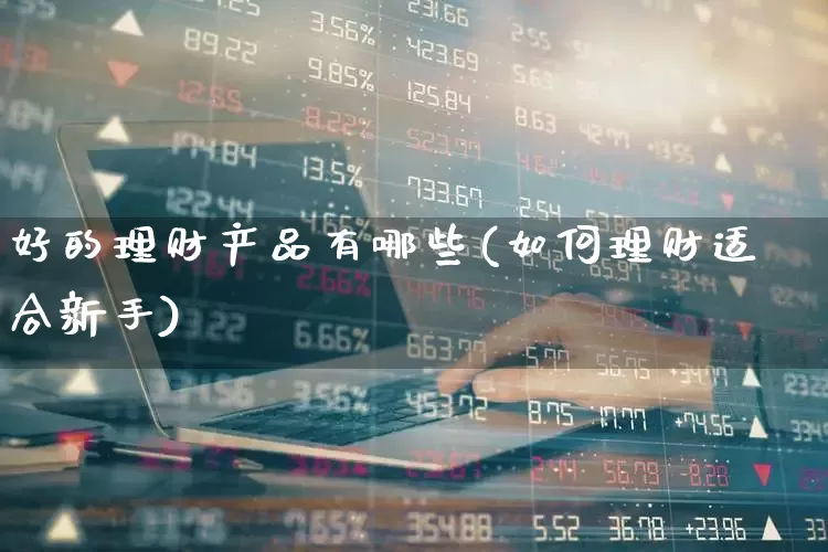 好的理财产品有哪些(如何理财适合新手)_https://www.heiljjianzu.com_深交所_第1张