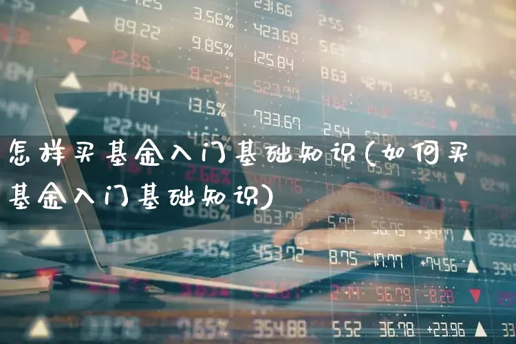 怎样买基金入门基础知识(如何买基金入门基础知识)_https://www.heiljjianzu.com_创业板_第1张