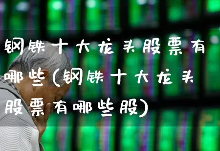 钢铁十大龙头股票有哪些(钢铁十大龙头股票有哪些股)_https://www.heiljjianzu.com_科创板_第1张