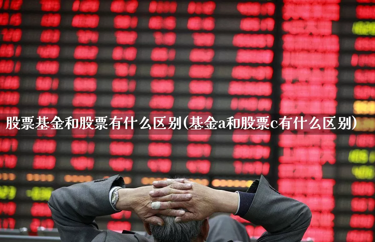 股票基金和股票有什么区别(基金a和股票c有什么区别)_https://www.heiljjianzu.com_深交所_第1张