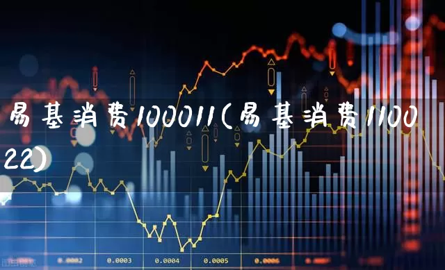 易基消费100011(易基消费110022)_https://www.heiljjianzu.com_上交所_第1张