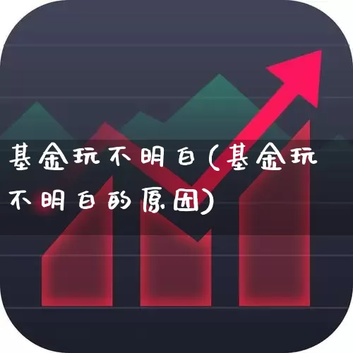 基金玩不明白(基金玩不明白的原因)_https://www.heiljjianzu.com_创业板_第1张