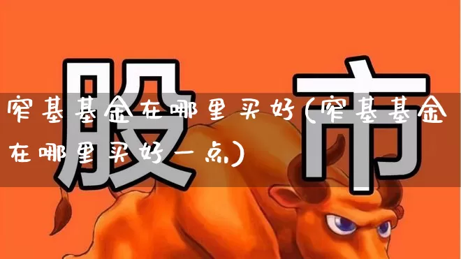 窄基基金在哪里买好(窄基基金在哪里买好一点)_https://www.heiljjianzu.com_科创板_第1张