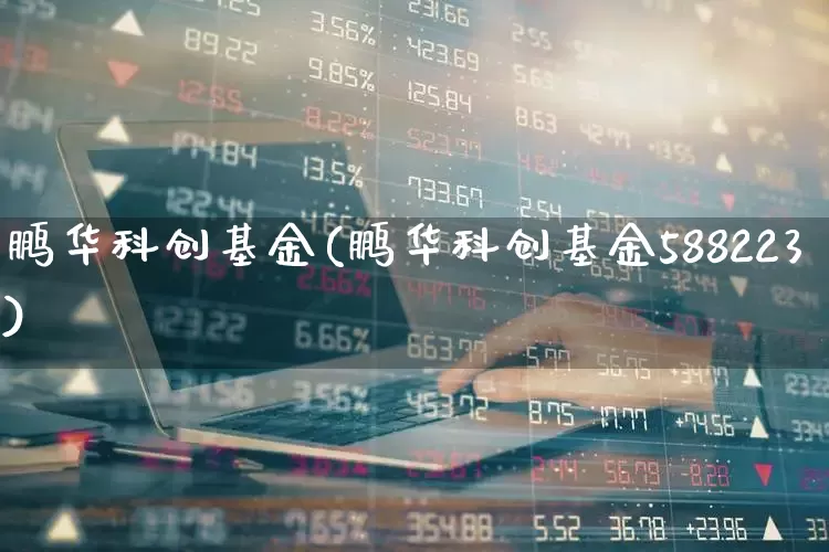 鹏华科创基金(鹏华科创基金588223)_https://www.heiljjianzu.com_深交所_第1张