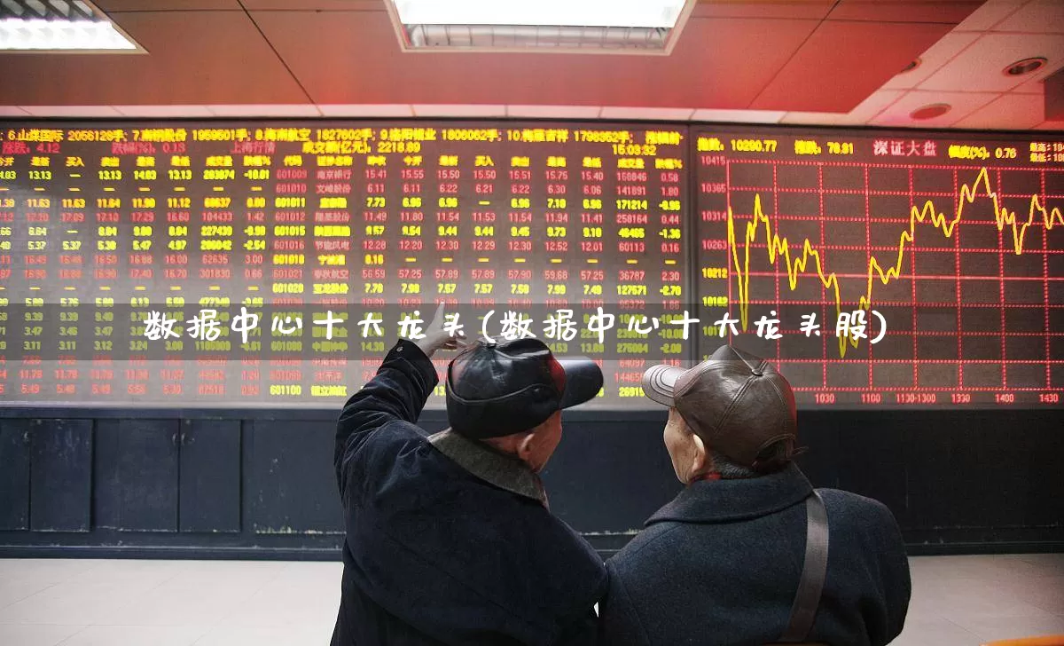 数据中心十大龙头(数据中心十大龙头股)_https://www.heiljjianzu.com_科创板_第1张