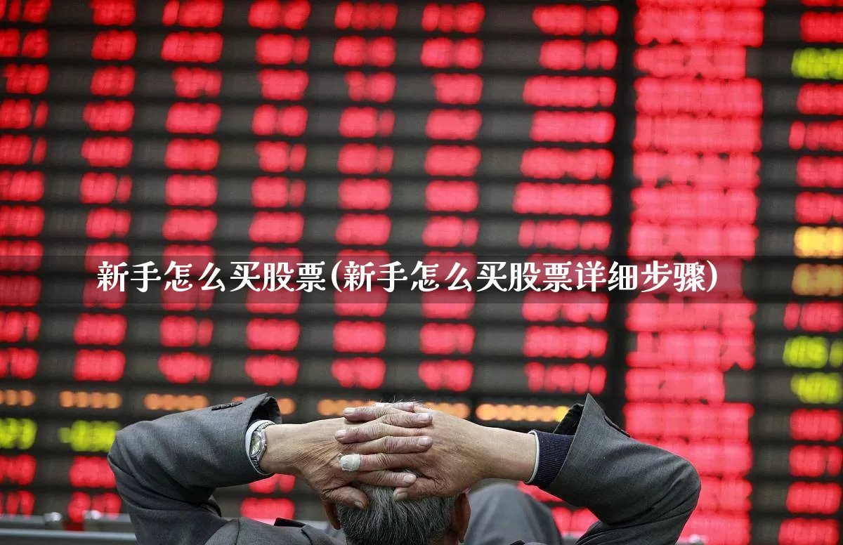 新手怎么买股票(新手怎么买股票详细步骤)_https://www.heiljjianzu.com_上交所_第1张